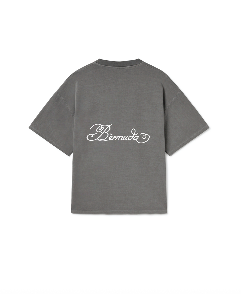 Ash Logo Tee
