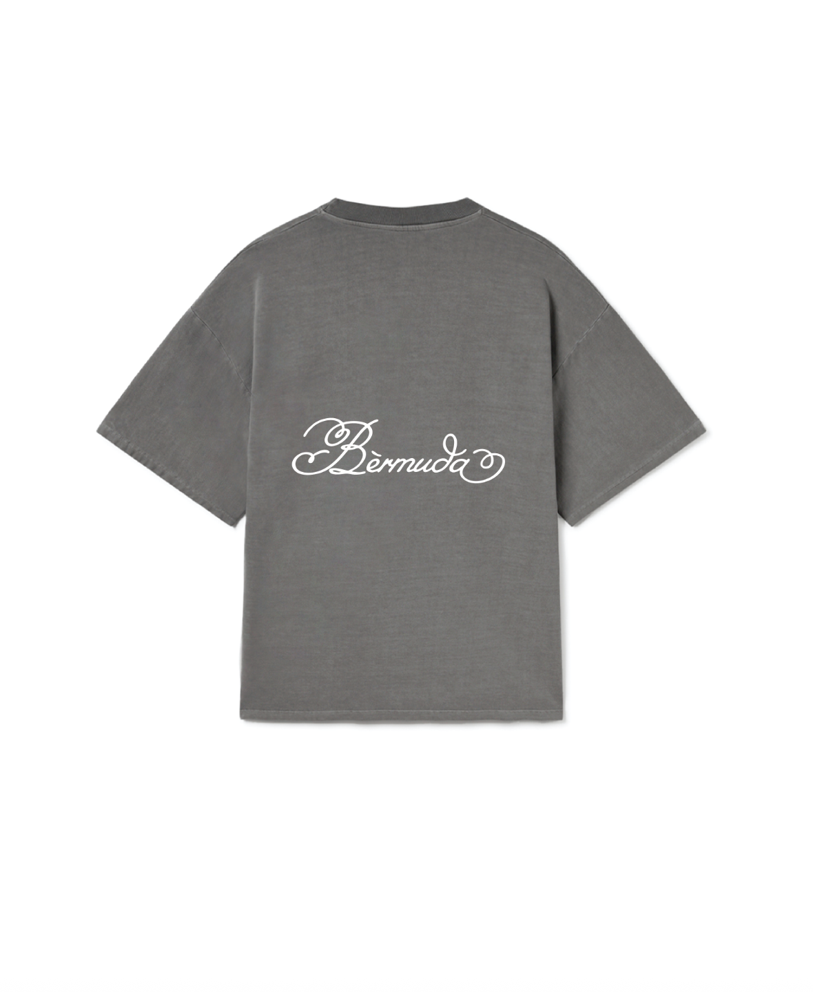 Ash Logo Tee