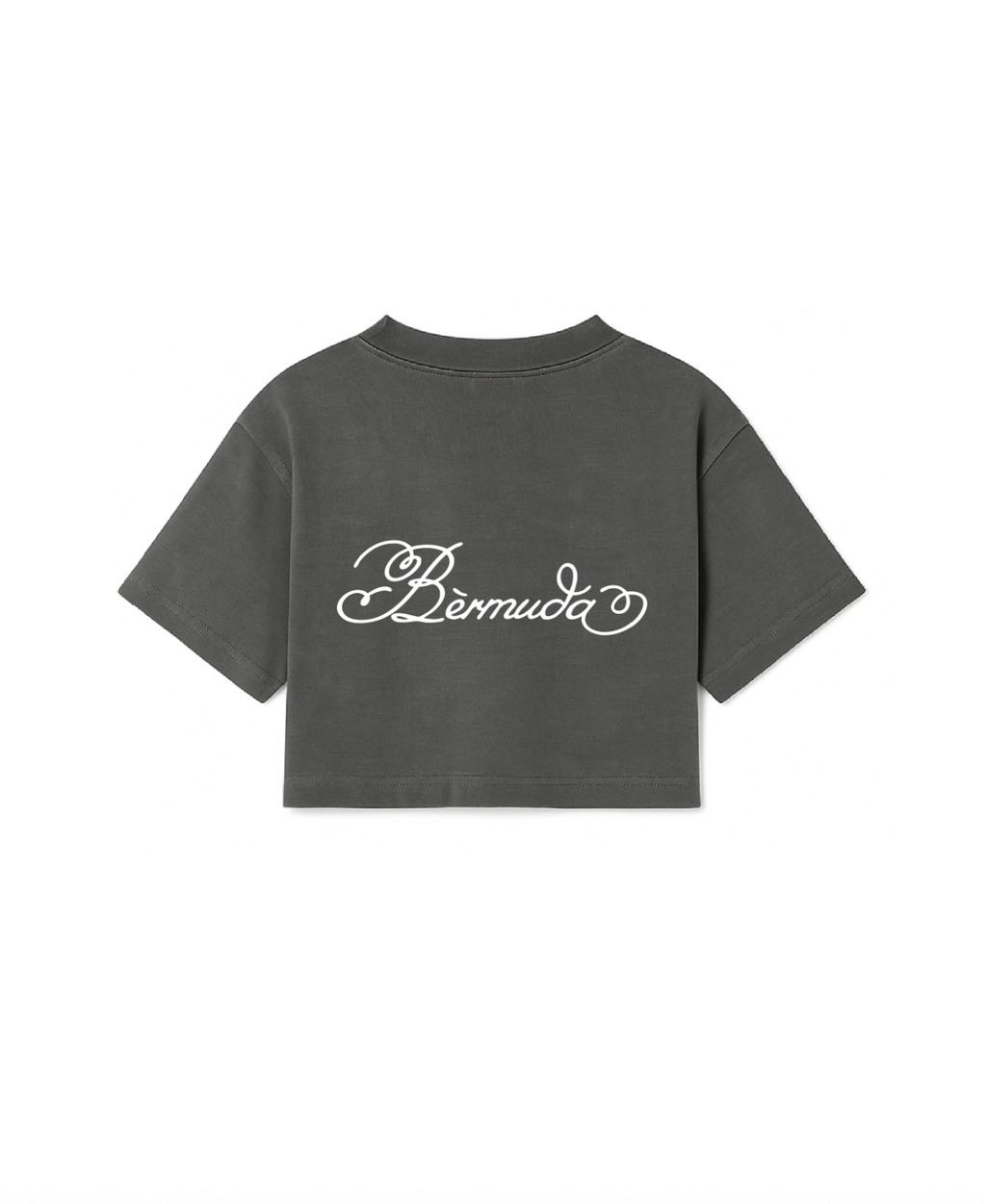 Ash Logo Tee Cropped