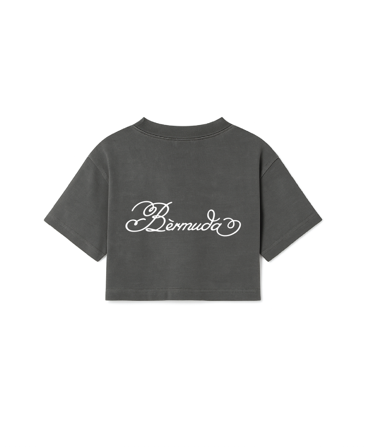 Ash Logo Tee Cropped