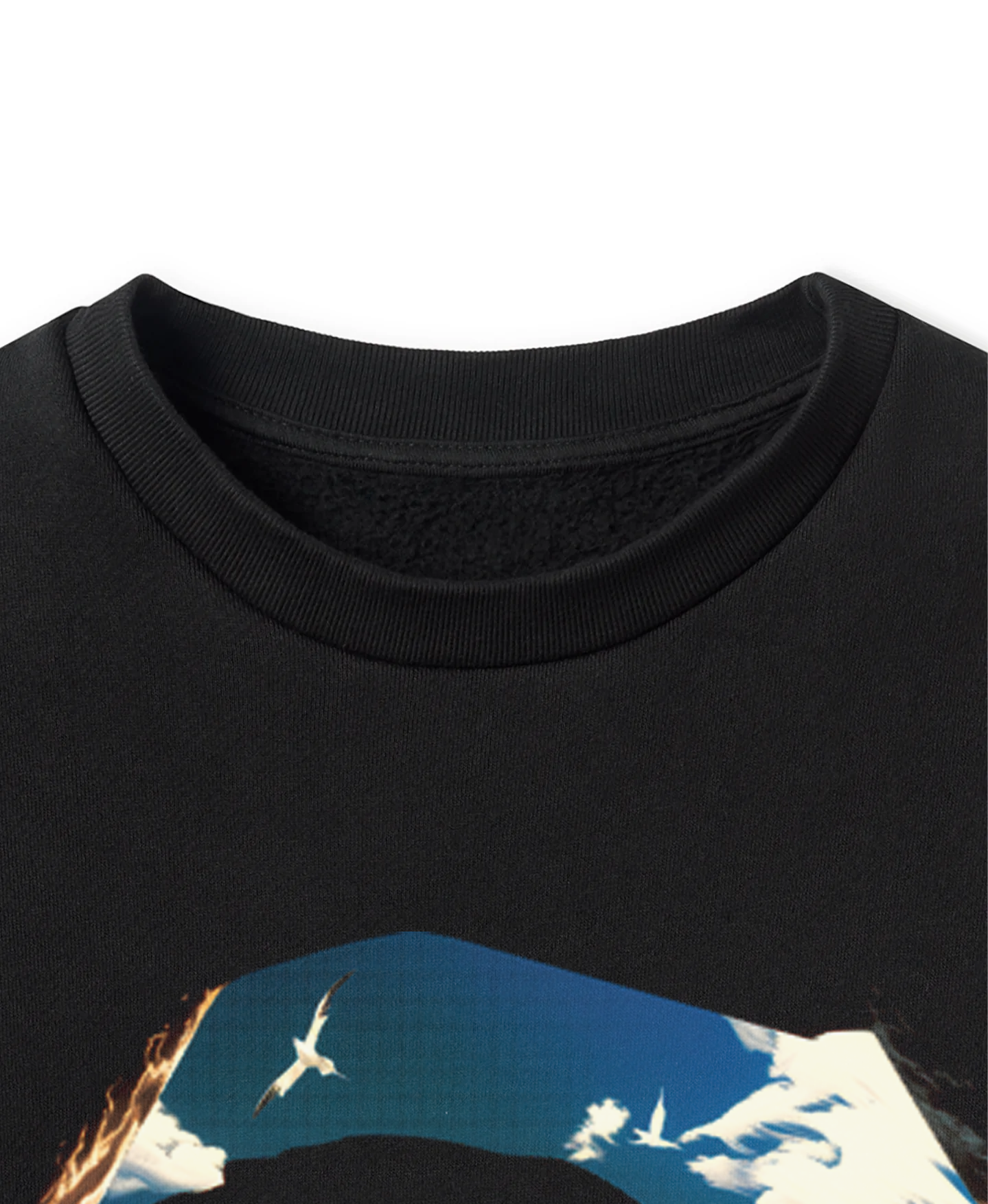 Longtail Sweatshirt